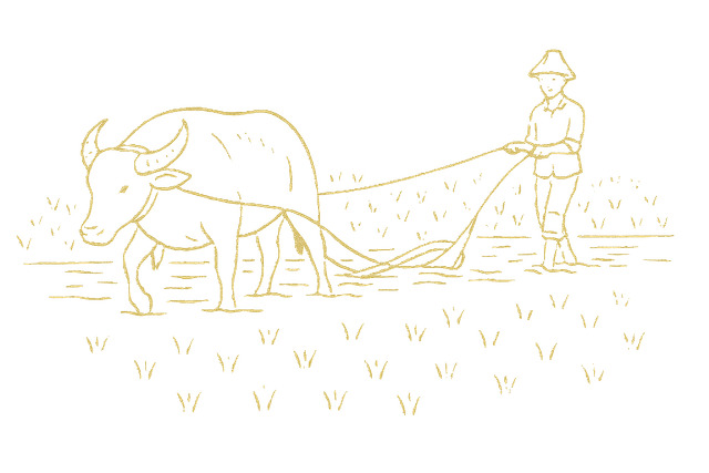 buffalo-icon
